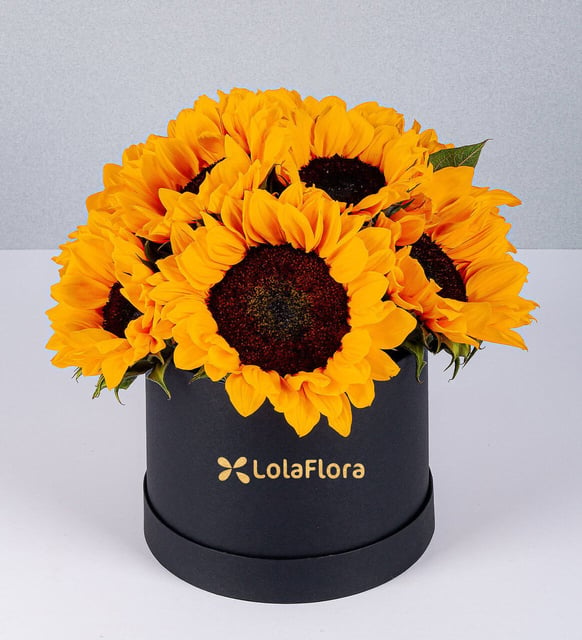 BOX CON 6 GIRASOLES, ENVIA FLORES A DOMICILIO