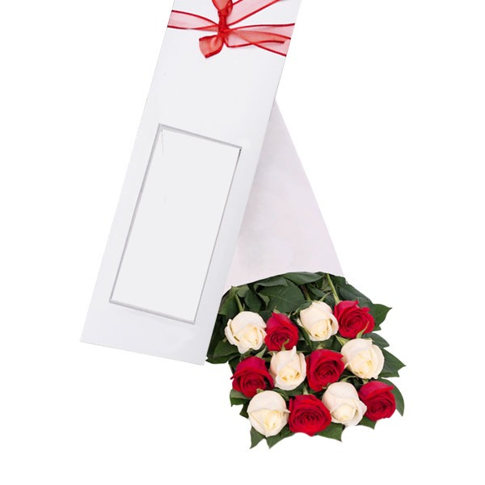 CAJA DE 12 ROSAS IMPORTADAS