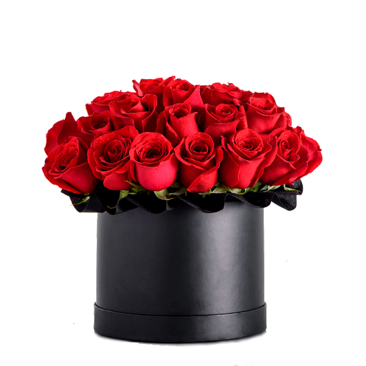 Box grande con 24 rosas rojas