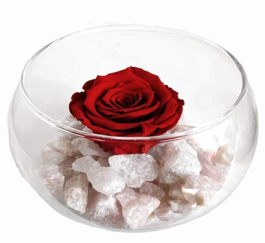 ROSA PRESERVADA EN PECERA